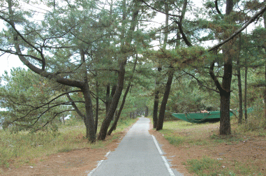 Click on this
Kuroshio Cyclingroad