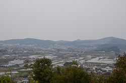 kochi
