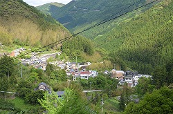 kochi