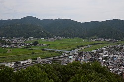 kochi