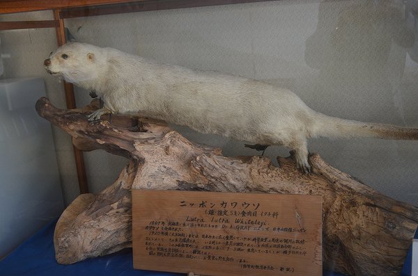 �j�z���J���E�\