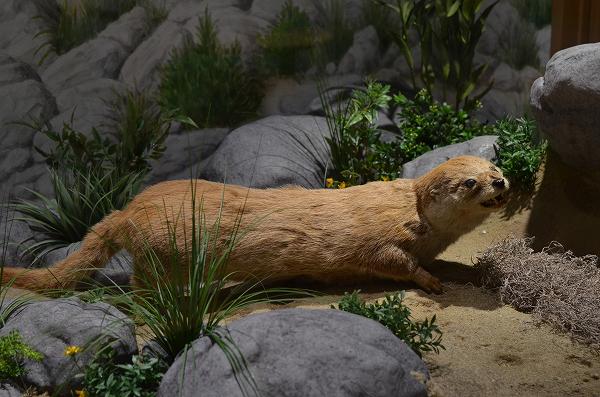 �j�z���J���E�\