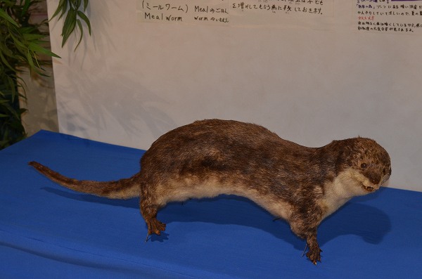 �j�z���J���E�\