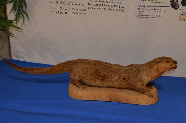 �j�z���J���E�\