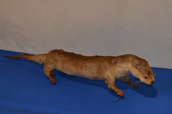 �j�z���J���E�\