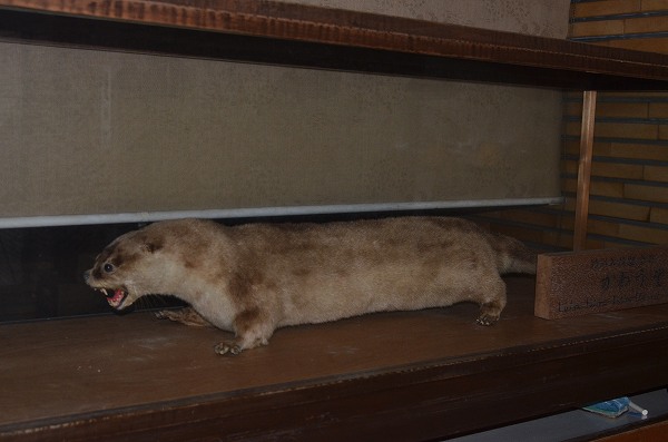 �j�z���J���E�\