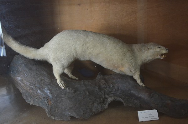 �j�z���J���E�\