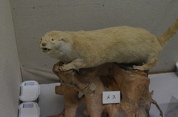 �j�z���J���E�\