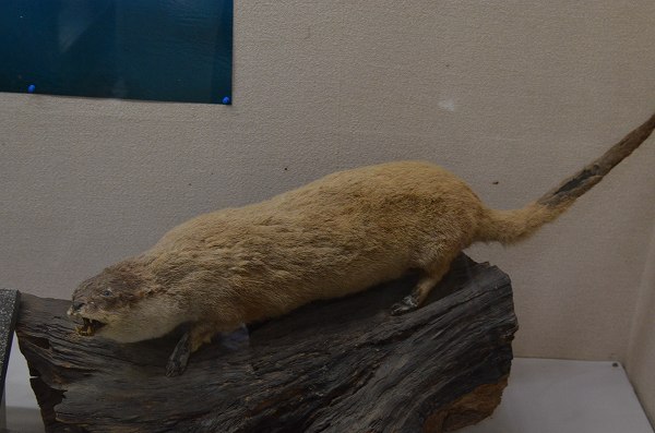 �j�z���J���E�\