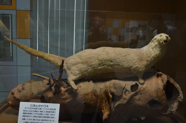 �j�z���J���E�\