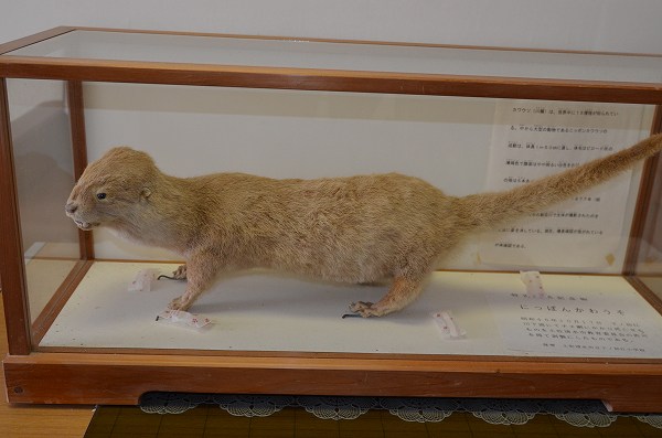 �j�z���J���E�\