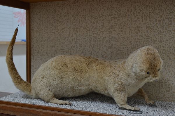 �j�z���J���E�\