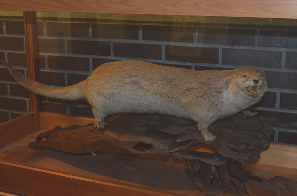 �j�z���J���E�\